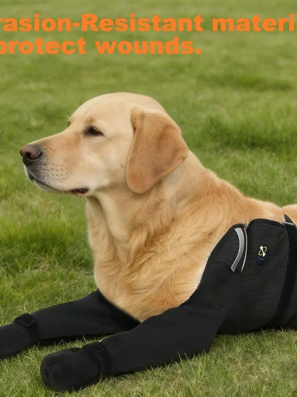 Dog Socks for All 4 Paws, Waterproof, Non-Slip, Paw Protection, Large, Black